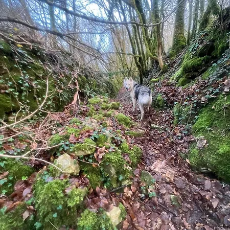 Characterful House Mountain Biking Trail Running Climbing 度假居