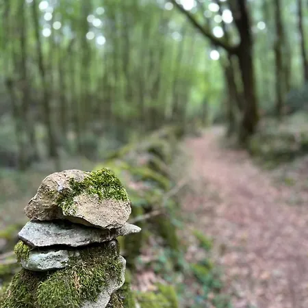 Characterful House Mountain Biking Trail Running Climbing 度假居 Montcabrier (Lot)